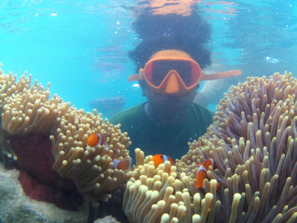 Snorkeling Nemo Bisa Untuk Anak KePulau Tidung