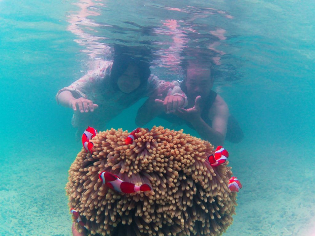 Snorkeling Nemo Pulau Tidung