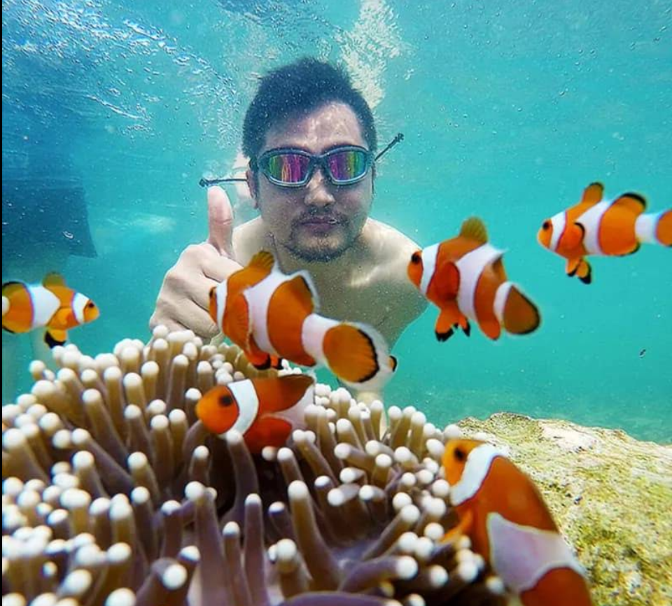 Nemo Snorkeling
