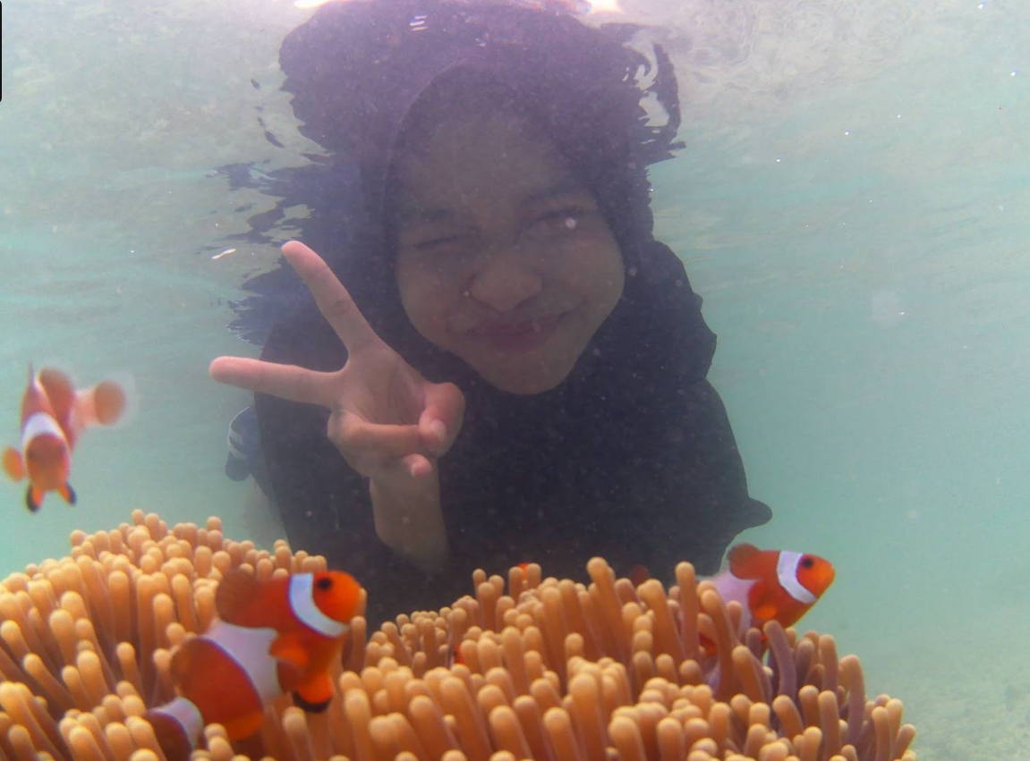 Ikan Cendro